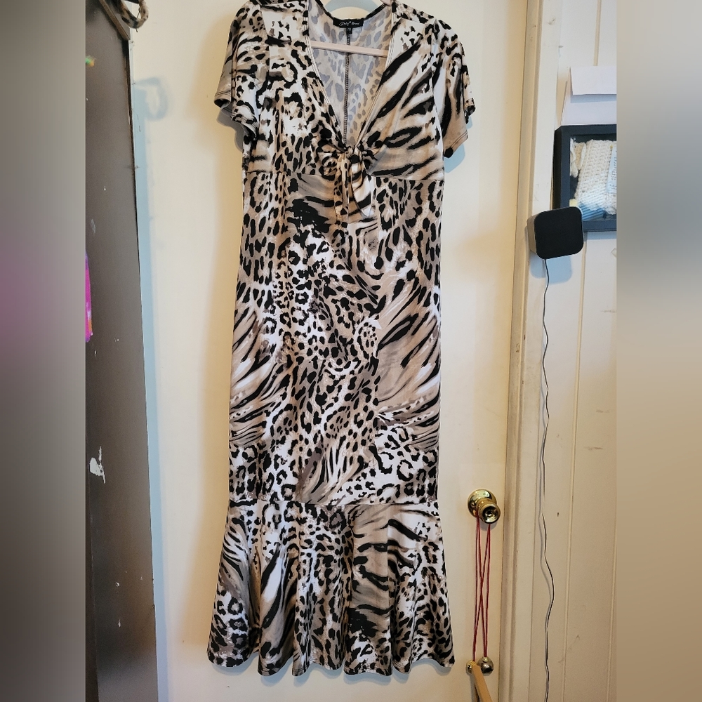 Animal print maxi dress